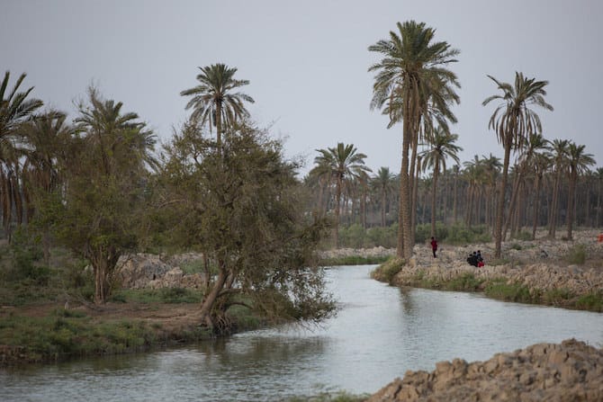 Euphrates river Iraq