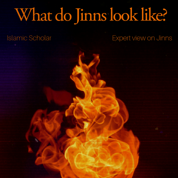 What Do Jinns look like?